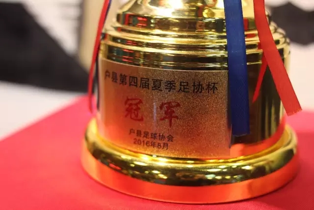 全国男子拳击锦标赛 塔沟武校学员斩获2金